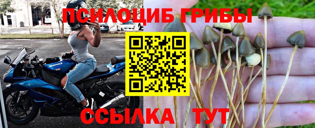 Галлюциногенные грибы GOLDEN TEACHER Старая Купавна